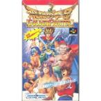 (SFC) 飛龍の拳Sゴールデンファイター (管理：3334)