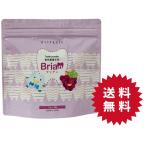 ブリアン  歯磨き粉 Brian 0.5g 60包 子供用歯磨き粉 グレープ味  未開封