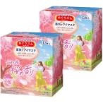 ショッピング桜 花王 めぐりズム 蒸気でホットアイマスク 桜の香り 12枚入 2個セット