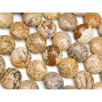 ピクチャージャスパー コイン 8mm【1連販売】 / 9-118 JAPC8CO