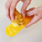 薬味おろし deLijoy 薬味すりすりベーラ しょうが にんにく ワサビ 柚子 （ おろし金 すりおろし器 すりおろし金 生姜おろし プラスチック ヘラ ）