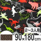 レジャーシート 恐竜 L 2〜3人用 （ ピクニックシート 遠足 ピクニック ）