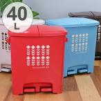 ゴミ箱 分別 エコペダルペール 40L 日本製 （ ごみ箱 ふた付き ダストボックス 蓋 フタ 付き ）
