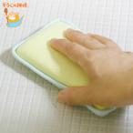 そうじの神様 バススポンジ 極ラクブラシW浴室用 ( 風呂 風呂掃除 掃除 )