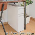 収納ケース 2段 浅型 深型 幅17×奥行45×高さ58cm 引き出し デスク下 収納 （ スリム 隙間収納 A4ファイル A4サイズ デスク下収納 収納ラック ）