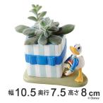 ミニプランター ギフト ドナルドダック （ 植木鉢 鉢 園芸用品 ）