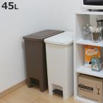 ゴミ箱 45L エバン ペダルペール ふた付き ( 45リットル 45l スリム キッチン 分別 ごみ箱 ダストボックス ペダル シンプル コンパクト 蓋つき )