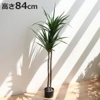 人工観葉植物 ドラセナ 84cm フェイ�