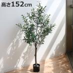 人工観葉植物 オリーブ 152cm フェイ�