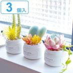 フェイクグリーン 3個入 Aset エクリア CT触媒 観葉植物 （ ミニ …