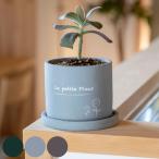 プランター プチフルール ラウンドポット M （ 植木鉢 プラントポット 鉢植え 鉢 寄せ植え ソーサー 受け皿 付き アースカラー ）