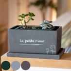 ץ󥿡 ץե롼 쥯ȥݥå L  ȭ ץȥݥå ȭ ȭ 󤻿   դ 顼 