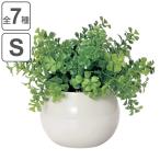  fake green round pot desk ( Mini pot human work decorative plant photocatalyst pot pot artificial flower interior real )