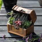  посадочная машина to отдых bok спот S Brown ( цветочный горшок план to pot растения для pot горшок inserting pot Treasure Box дерево )