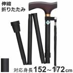 杖 折りたたみ ベーシック ブラック