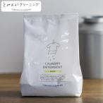 粉末洗剤