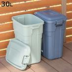 ゴミ箱 ロック付き 30L プラスチック ( ごみ箱 30リットル 丈夫 屋外 大容量 ダストボックス ふた付き ベランダ おしゃれ )