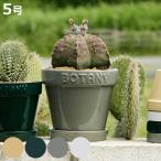 ダルトン 植木鉢 ボタニーポット 5号鉢 ガーデンポット ( DULTON プランター プラントポット 植物用ポット 鉢 花器 鉢カバー ポット )