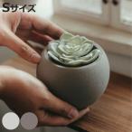  цветочный горшок монохромный -m paul (pole) pot S ( цветок pot план to pot посадочная машина pot горшок растение в горшке цемент )