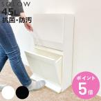 特典付き ゴミ箱 SOLOW 通路で使えるペダル分別ストッカー 45L 2段 ( ごみ箱 45リットル ソロウ ペダル式 フラップ式 ふた付き 分別 キャスター付き )