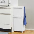 ショッピングダストbox ゴミ箱 40L ホワイトラッシュ 多段 分別 （ ごみ箱 40リットル 2段 縦型 フラップ ふた付き スリム 省スペース キッチン ）