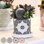  цветочный горшок свободный ze pot S поддонник имеется ( цветок pot план to pot посадочная машина pot горшок растение в горшке керамика )