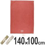 レジャーシート　ANCIENT　OUTDOOR GOODS　140×100cm　L　ペグ穴付き （ レジャーマット ピクニックシート ピクニック マット ）