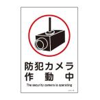 サイン標識　「防犯カメラ作動中」　片面印刷　45x30cm （ 表示パネル 防犯用品 ）
