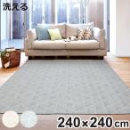 ラグ 洗える ジャガード織り 240×240cm アリス ホットカーペット対応 （ 絨毯 マット ラグマット 正方形 床暖対応 ）