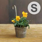 Yahoo! Yahoo!ショッピング(ヤフー ショッピング)■在庫限り・入荷なし■ハンギングポット　BLOOM HANGING POT S （ ポット プランター 鉢 アイアン ）