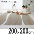 ■在庫限り・入荷なし■ ラグ　カーペット　スミノエ　ピュアフロー　200×200cm （ ラグマット センターラグ ）