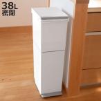 ゴミ箱 38L 2段 分別 スリム ( ごみ箱 38l 38リットル スリム キッチン ふた付き パッキン付き 防臭 縦型 分別ゴミ箱 大容量 プッシュ ペダル 密閉 )