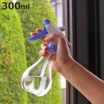  опрыскиватель штраф спрей 300ml ( распылитель распылитель Mist бутылка туман .. туман дуть прозрачный прозрачный обратный . контейнер )