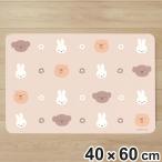 バスマット 40×60cm 珪藻土入りやわらかバスマット ミッフィー （ 珪藻土 ソフトバスマット 吸水 速乾 足元マット マット バスグッズ ）