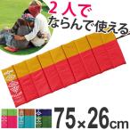 ■在庫限り・入荷なし■レジャーシート　ピクニックル　折りたたみ　シートクッション　2人用　厚手 （ レジャーマット クッション マット ピクニックシート