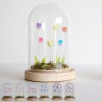  интерьерный свет LUMO тюльпан стекло купол ( непрямое освещение настольный стол лампа настольный свет LED цветок цветок тип аккумулятора )