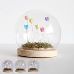  интерьерный свет LUMO цветок стекло купол ( непрямое освещение настольный стол лампа настольный свет LED цветок тип аккумулятора )