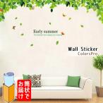 ウォールステッカー おしゃれ かわいい 森 蝶 夏 グリーン 英字 インテリアシール