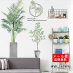ウォールステッカー 観葉植物 木 ツリー アレカヤシ マウンテンアッシュ グリーン 南国 夏 はがせる 壁飾り カフェ インテリアシール メール便