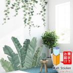ウォールステッカー 観葉植物 グリーン 葉っぱ ストレリチア アイビー ツタ ナツヅタ 夏 南国 はがせる カフェ インテリアシール *Wallsticker*