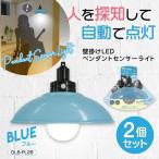 センサーライト LEDペンダント型 乾電池式 2個セット 大進 屋内用 明暗センサー付 人感 単４電池3本使用 室内 屋内 照明 壁