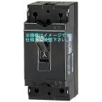 テンパール 安全ブレーカー 配線用遮断器 B-2EA20A