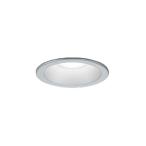 オーデリック 屋外用LEDダウンライ�