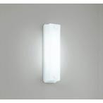 オーデリック エクステリア LEDポーチライト OG254461