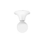 オーデリック LEDシーリング 非調光 