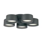 o-telik потолочный вентилятор для LED лампа . затемнение Seyde 5 лампа WF247*WF249P1 специальный свет цвет переключатель style свет ~8 татами угольно-серый цвет лампа цвет / днем белый цвет WF290PR