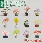  почтовая доставка OK MIYUKImiyuki бисер винт teBONSAI комплект nejitte ручная работа взрослый предназначенный сделано в Японии бонсай начинающий MIYUKI FACTORY Япония . земля производство тросик 