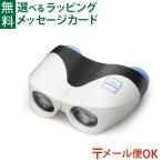 メール便OK 知育玩具 BorneLund（ボー�