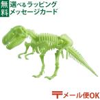 メール便OK 恐竜 おもちゃ EDUCIENCE社 クラフト グロー恐竜骨格 ティラノサウルス 5歳 おもちゃ 知育玩具 入園 入学