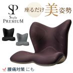 ショッピング低反発 姿勢 サポートチェア MTG スタイルプレミアム Style PREMIUM 正規品 姿勢ケア 椅子 イス 猫背 腰痛 体圧分散 座椅子 クッション 低反発 高反発 在宅ワーク